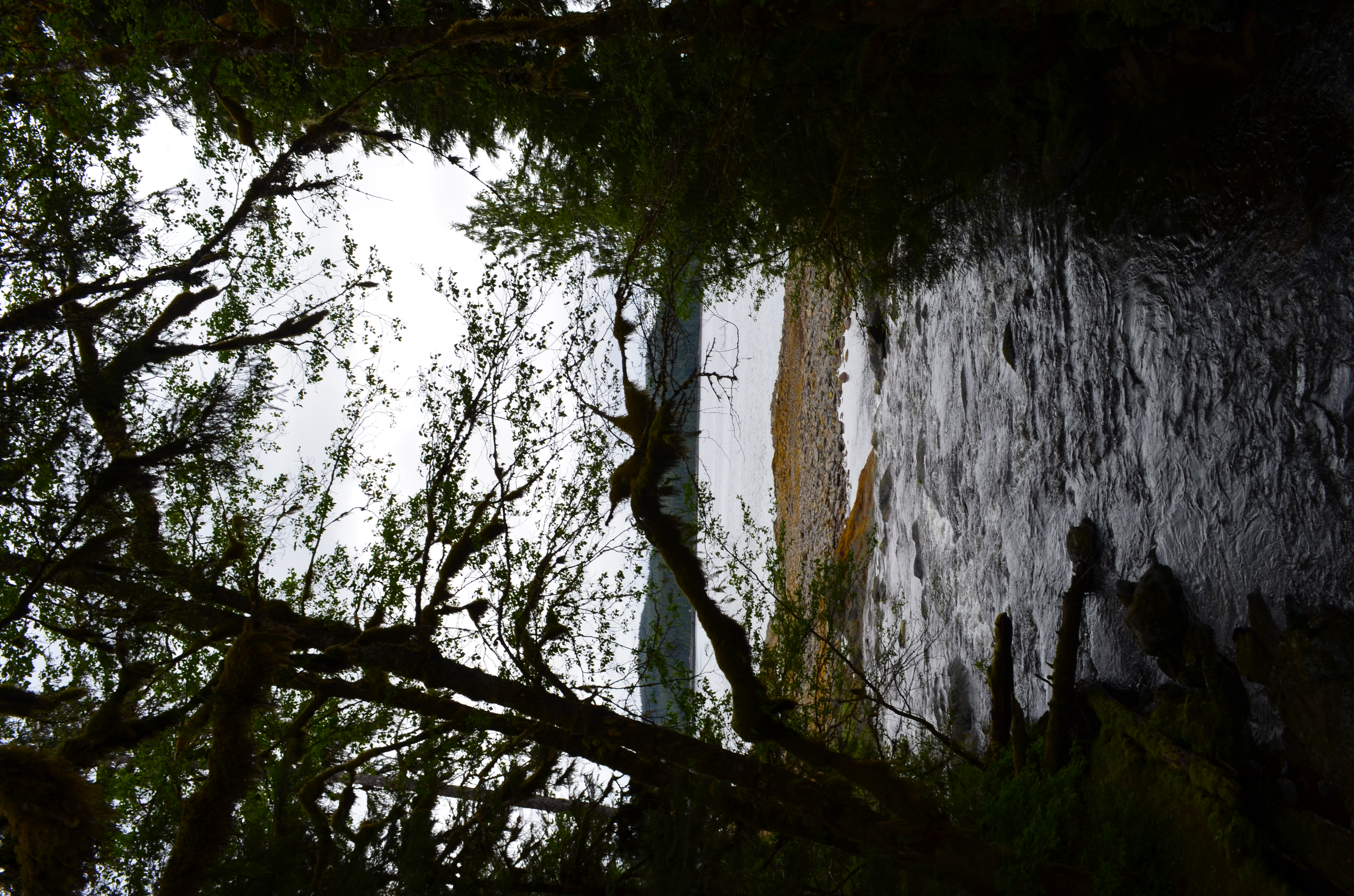 ./2017/08 - Alaska Cruise/11 - Ketchikan/DSC_0511.JPG